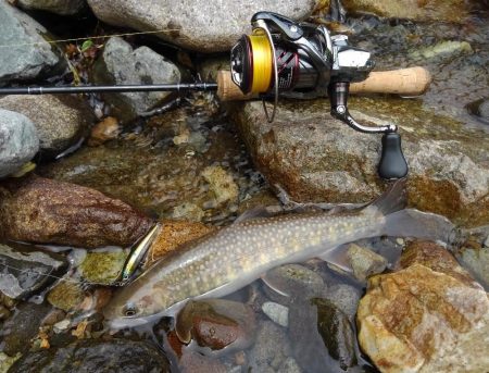 梅雨の晴れ間にイワナ釣り